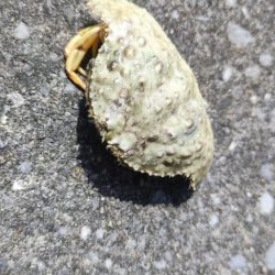 与根新漁港でぶっこみ釣り