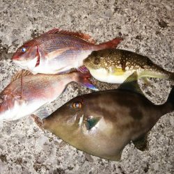 外道もちらほら