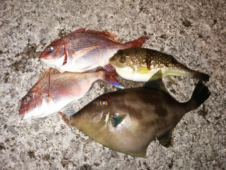 外道もちらほら