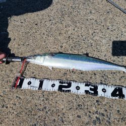 以外なやつが！？