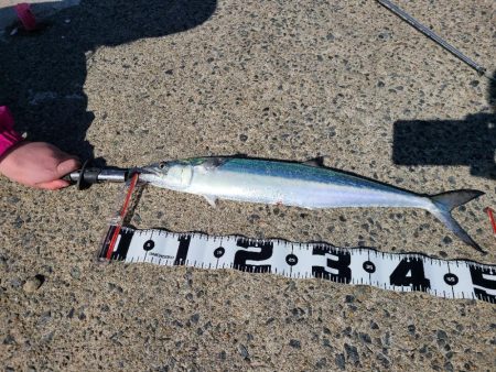 以外なやつが！？