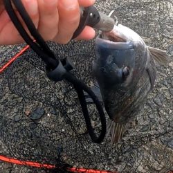 両軸遠投カゴ釣り