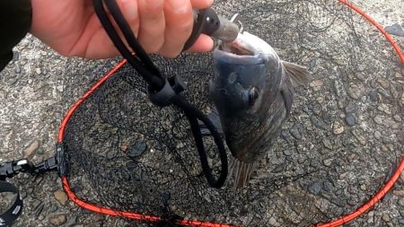 両軸遠投カゴ釣り