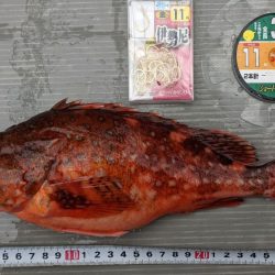 根魚五目釣り！