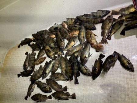 ボートメバリング