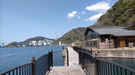 アジはいなかったけど