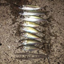 お手軽ジグサビキ