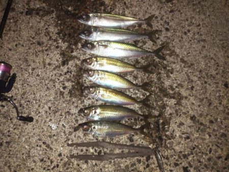 お手軽ジグサビキ