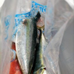 ショアジギング