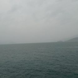 サゴシさんお久し振りです