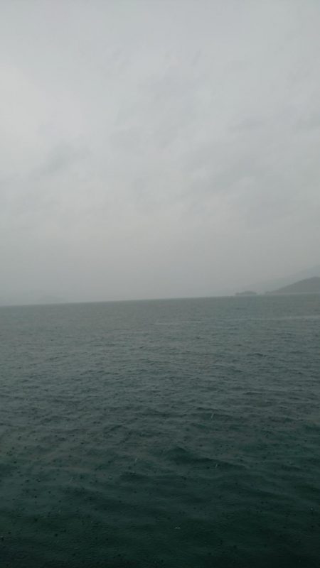 サゴシさんお久し振りです