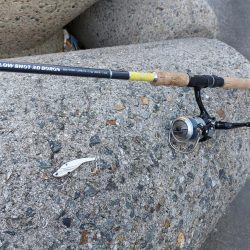 プチsalt water game