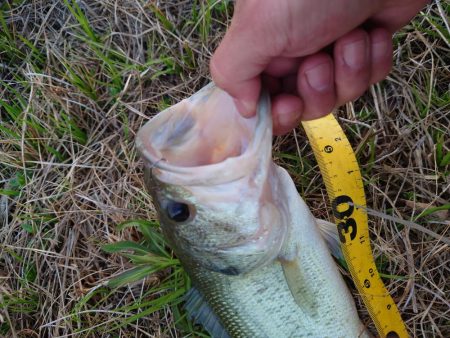 小バス のち グッドサイズ