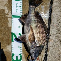 フカセDay⑤日射しに注意を(笑)