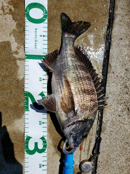 フカセDay⑤日射しに注意を(笑)