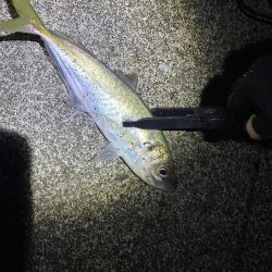 夕マズメアジング