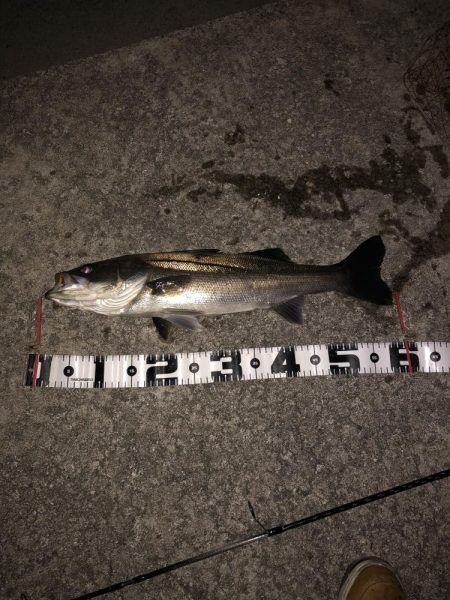 クロキンカラーのミノー