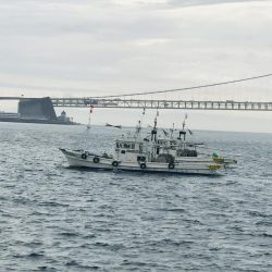 雨が降るまでに