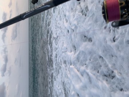 台風後のサーフでなんとか釣れました！