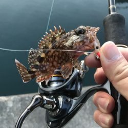 セイゴサイズダウン\\(//∇//)\\