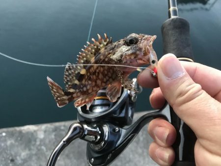 セイゴサイズダウン\\(//∇//)\\