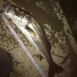 好調なスタート^ ^