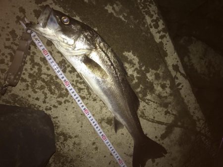 好調なスタート^ ^