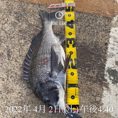 南港ヘチ釣り　午後爆