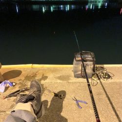 春がきたϵ( \’Θ\’ )϶