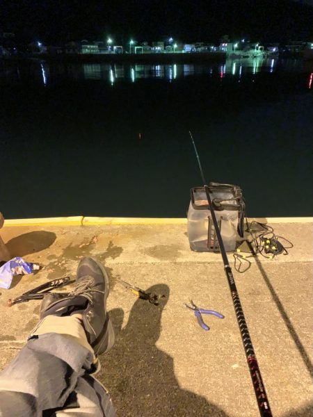 春がきたϵ( \’Θ\’ )϶