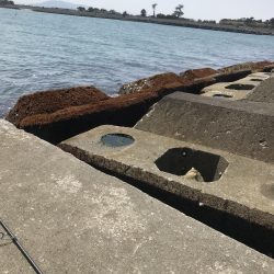 かわいいサイズですが。。