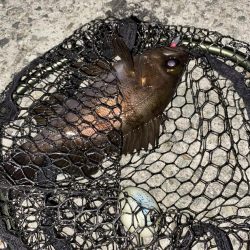 フロートゲーム