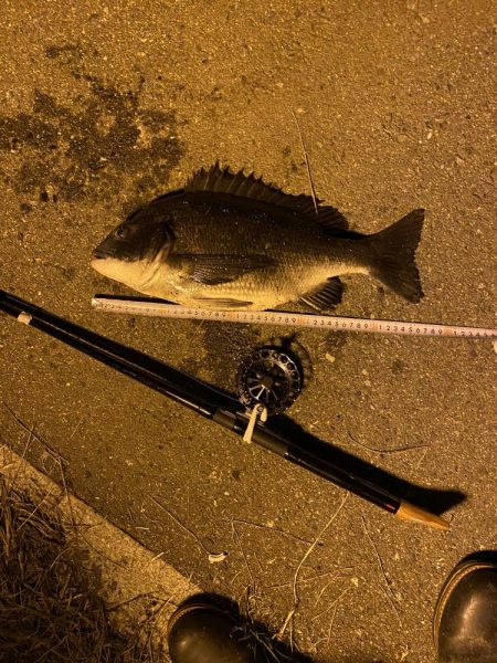 ヘチってきました