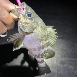 金太郎飴バリング