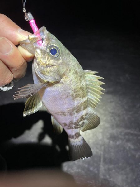 金太郎飴バリング