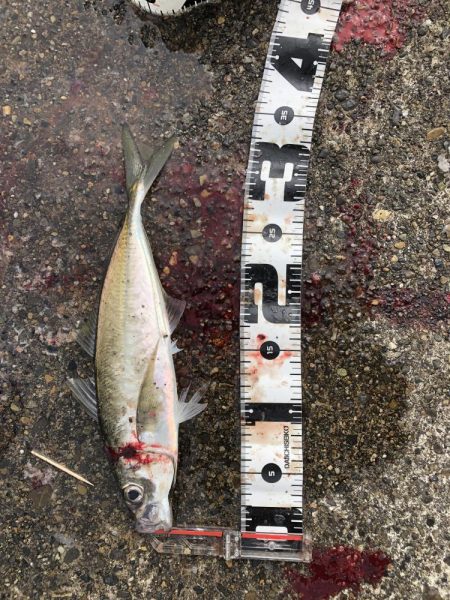 ハッピーハッピー