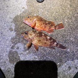 文字通り横取り