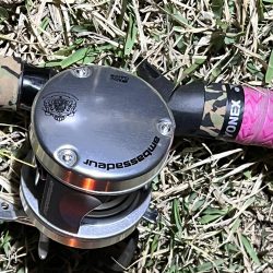 今回もナマズ です。