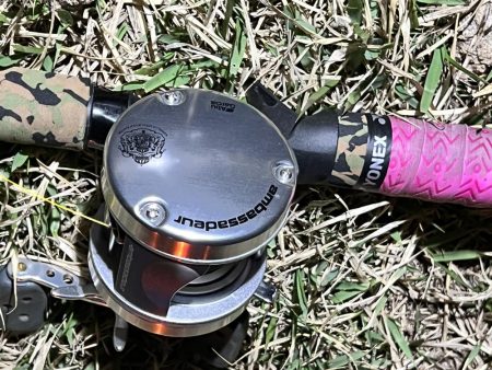 今回もナマズ です。