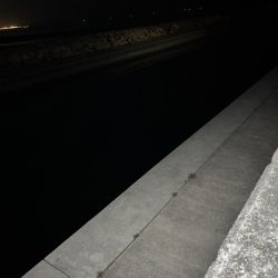 久しぶりのライトゲーム