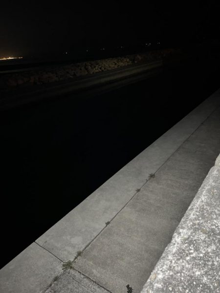 久しぶりのライトゲーム