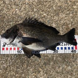 諦めたらあかん!