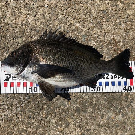 諦めたらあかん!