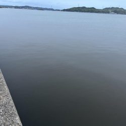 初、ベイカを求めて！！