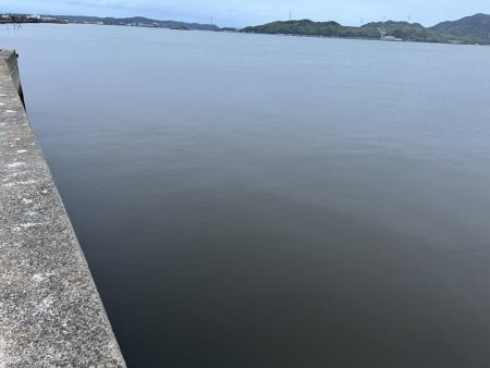 初、ベイカを求めて！！