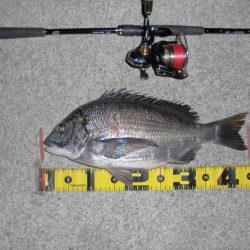 ポツポツと釣れる感じ…