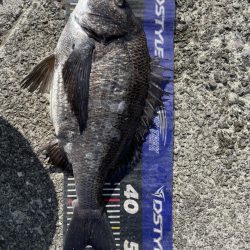 イチノ兄弟、釣果!