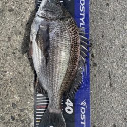 イチノ兄弟、釣果!