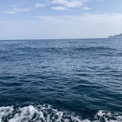 蒲生田沖で真鯛