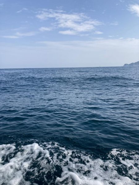 蒲生田沖で真鯛